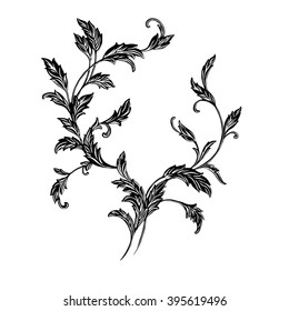 Vector vintage element engraving branch with leaves