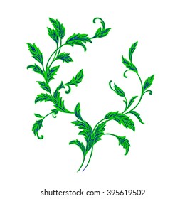 Vector vintage element engraving branch with leaves
