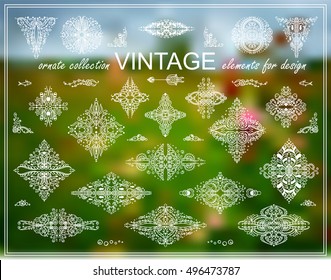 Vector vintage elements for design. Photo decor stickers. Round, square, stars for logo, emblem, labels, stamps, dividers. Seaweed, snail, shell, coral, ocean, sea, undersea elements, white line