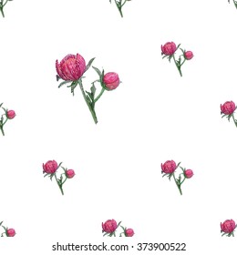 Vector vintage embroidery peony bud, peony bulb, peony, peony flower, peony sketch, rose flower on white wallpaper background. Beautiful painting embroidery floral seamless pattern on white backdrop