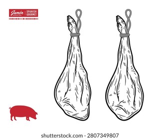 Vector vintage engraving style illustration of two hanging dry-cured Spanish jamon ham legs tied with ropes