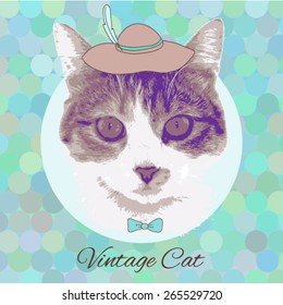 vector vintage fashion cat