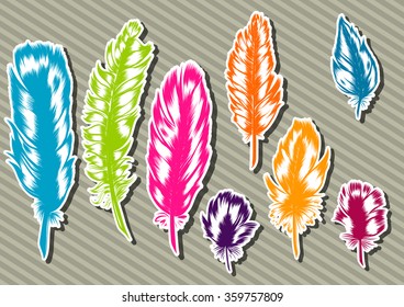 Vector vintage Feathers multicolored set. Hand-drawn illustration.