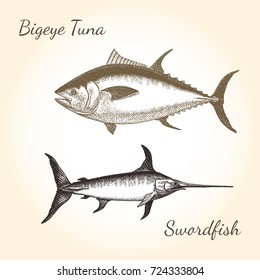 Vector vintage fish drawing. Hand drawn monochrome seafood illustration. Great for menu, poster or label.