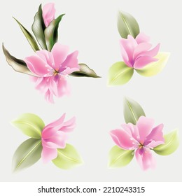 Vector vintage floral composition set. Romantic design for natural cosmetics, perfume, women products. Can be used for greeting card, wedding invitation. 