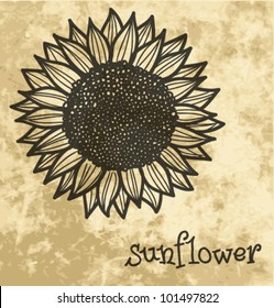 vector vintage floral summer background with sunflower