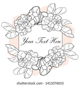 Vector Vintage floral text box frame with coloring page elements