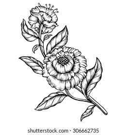 Vector vintage flowers