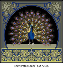 Vector vintage frame with peacock