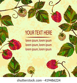 Vector vintage frame with red and yellow raspberries. Vector colored raspberry frame. Summer template card. Save the date illustration. 
