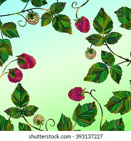 Vector vintage frame with a ripe raspberry