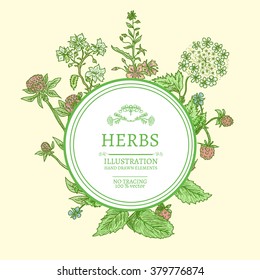 Vector vintage frame with wild flowers and herbs hand drawn vintage sketch vector illustration 