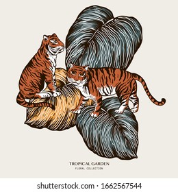Vector vintage greeting card of tiger, tropical leaves. Natural floral philodendron exotic collection. Animal illustration.