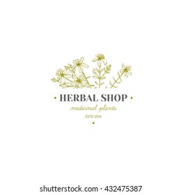 Vector vintage hand drawn herb logo. Alternative medicine, ayurveda, pharmacy, homeopathy, beauty shop, holistic center logo, badge, emblem.