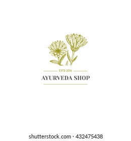 Vector vintage hand drawn herb logo. Alternative medicine, ayurveda, pharmacy, homeopathy, beauty shop, holistic center logo, badge, emblem.