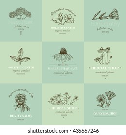 Vector vintage hand drawn herb logos. Alternative medicine, ayurveda, pharmacy, homeopathy, beauty shop, holistic center logos, badges, emblems.