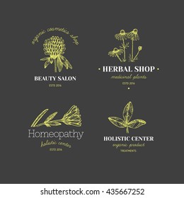 Vector vintage hand drawn herb logos. Alternative medicine, ayurveda, pharmacy, homeopathy, beauty shop, holistic center logos, badges, emblems.