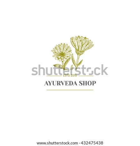 Vector vintage hand drawn herb logo. Alternative medicine, ayurveda, pharmacy, homeopathy, beauty shop, holistic center logo, badge, emblem.