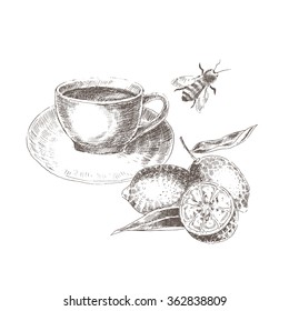 vector vintage hand drawn honey tea cup, lemon slices, and bee