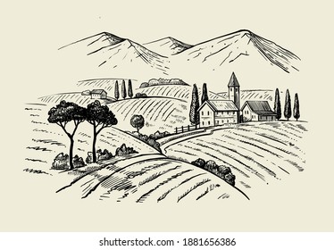 vector vintage hand drawn illustration of wineyard