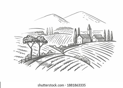 vector vintage hand drawn illustration of wineyard