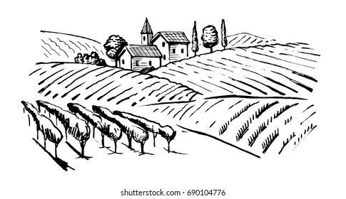 vector vintage hand drawn illustration of wineyard