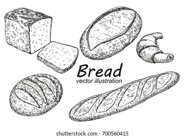 Vector vintage hand drawn illustration of Bakery fresh bread collection with different kinds of baked goods. Bread, loaf, baguette, croissant design elements for bakery or bake shop.