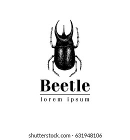 Vector vintage hand drawn vector logo template with beetle, bug, dor, insect on a white background. Retro illustration