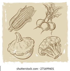 vector vintage hand drawn picture of vegetables
