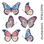 Vector vintage hand drawn set of beautiful colorful butterflies on a white background 
