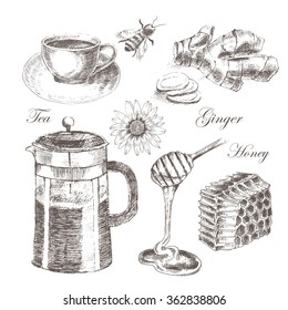 vector vintage hand drawn set of hot tea cup, ginger, honey, tea pot 