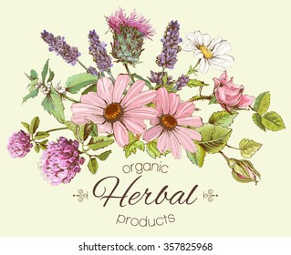 Vector vintage hand-drawn composition with wild flowers and herbs. Design for cosmetics, store, beauty salon, natural and organic products. Can be used like a greeting card.