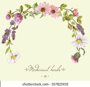 Vector vintage hand-drawn frame with wild flowers and herbs. Layout design for cosmetics, store, beauty salon, natural and organic products. Can be used like as greeting card or boho style element.