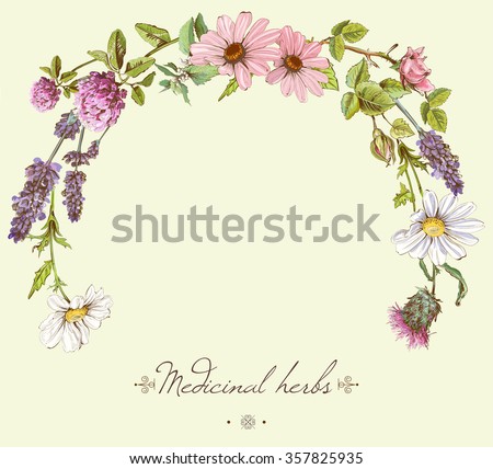 Similar – Image, Stock Photo marigold, medicinal herb with flower
