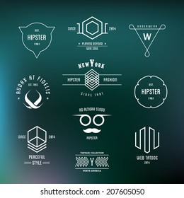 Vector Vintage Hipster Labels and icons for retro style design.