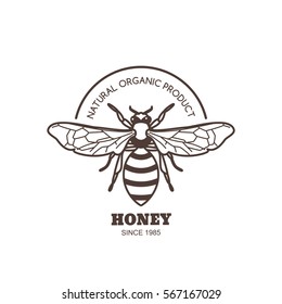 Vector vintage honey label design. Outline honeybee logo or emblem. Linear bee isolated on white background. Concept for organic honey products, package design