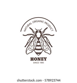 Vector vintage honey label design. Outline honeybee logo or emblem. Linear bee isolated on white background. Concept for organic honey products, package design.