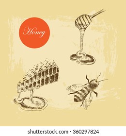 vector vintage honey set. hand drawn sketch of honey 