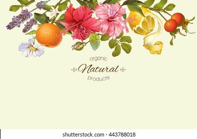 Vector vintage horizontal banner with hibiscus flowers, citrus fruits and rose hip. Design for tea, juice, natural cosmetics, baking,candy and sweets,grocery,health care products. With place for text.