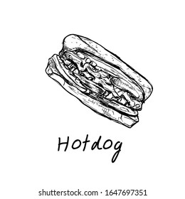 Vector vintage hot dog drawing on white background. Used for poster, banner, web, t-shirt print, bag print, badges, flyer, logo design and more.