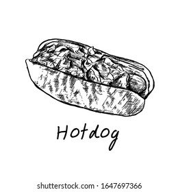 Vector vintage hot dog drawing on white background. Used for poster, banner, web, t-shirt print, bag print, badges, flyer, logo design and more.