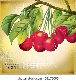 Vector Vintage Illustration