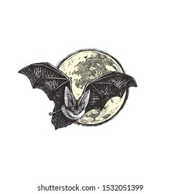 Vector vintage illustration of bat flying against the moon. Hand drawn Halloween symbol in engraving style.
