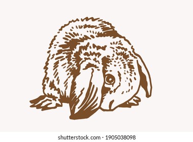 Vector vintage illustration of bunny , graphical drawing 