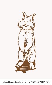 Vector vintage illustration of bunny , graphical drawing 