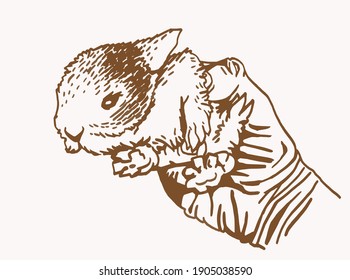 Vector vintage illustration of bunny , graphical drawing 