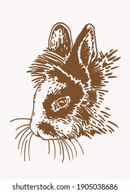 Vector vintage illustration of bunny , graphical drawing 