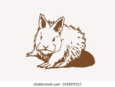 Vector vintage illustration of bunny , graphical drawing 