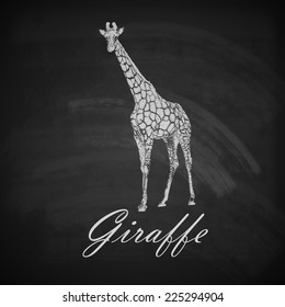 vector vintage illustration of a chalk giraffe on the old dirty blackboard background