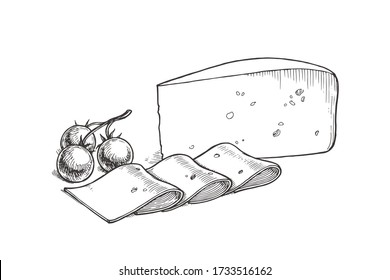 Vector vintage illustration of cheese piece and slices with tomatoes isolated on white. Hand drawn sketch with still life isolated on white background.